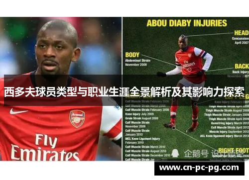 西多夫球员类型与职业生涯全景解析及其影响力探索