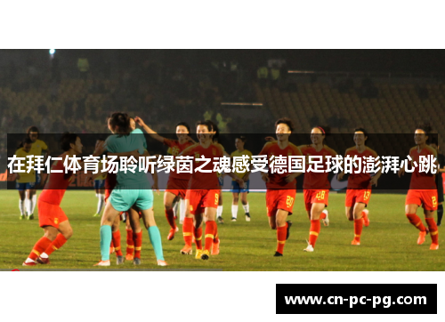 在拜仁体育场聆听绿茵之魂感受德国足球的澎湃心跳 在拜仁体育场聆听绿茵之魂感受德国足球的澎湃心跳