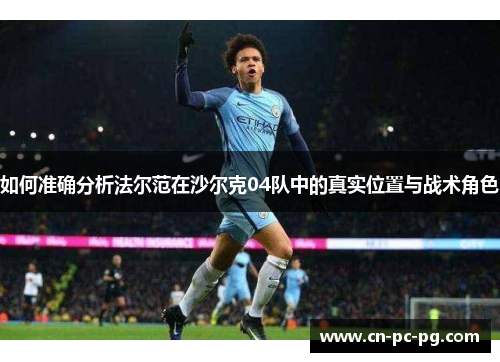 如何准确分析法尔范在沙尔克04队中的真实位置与战术角色