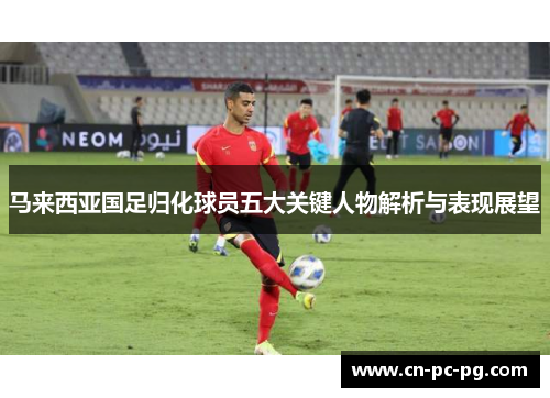 马来西亚国足归化球员五大关键人物解析与表现展望