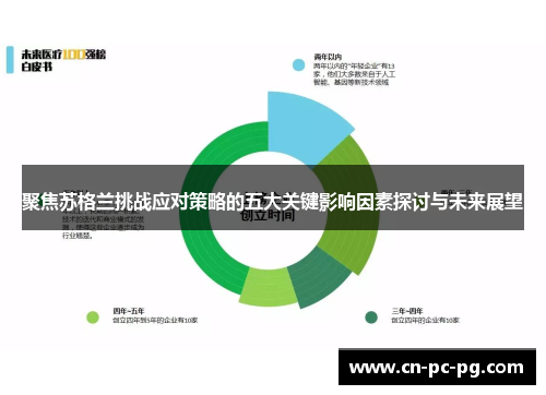 聚焦苏格兰挑战应对策略的五大关键影响因素探讨与未来展望 聚焦苏格兰挑战应对策略的五大关键影响因素探讨与未来展望