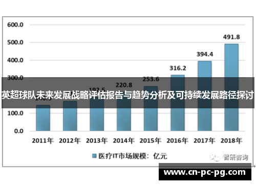 英超球队未来发展战略评估报告与趋势分析及可持续发展路径探讨 英超球队未来发展战略评估报告与趋势分析及可持续发展路径探讨