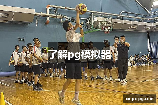 了解pg模拟器